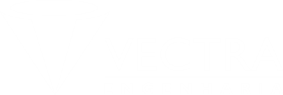 Vectra Engenharia